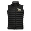 SOL'S Wave Bodywarmer Thumbnail